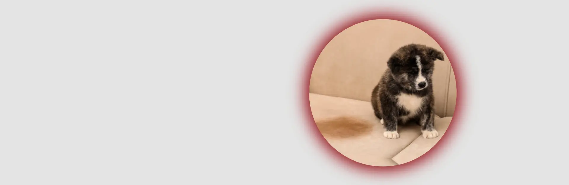 TruCare Protection was created by a team of protection plan & service industry experts! Protection Plans for Appliances, Electronics & Furnitures